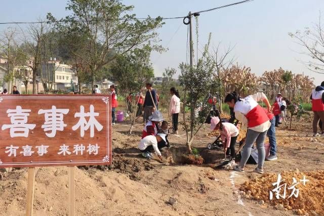 迳头镇还在各村设置“喜事林”，发起“有喜事来种树”活动。 