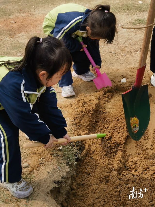 龍祥街道植樹月啟動儀式暨親子義務(wù)植樹活動