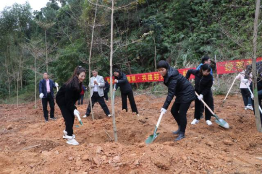 封開縣舉行春季植樹造林活動。封開縣融媒體中心 供圖