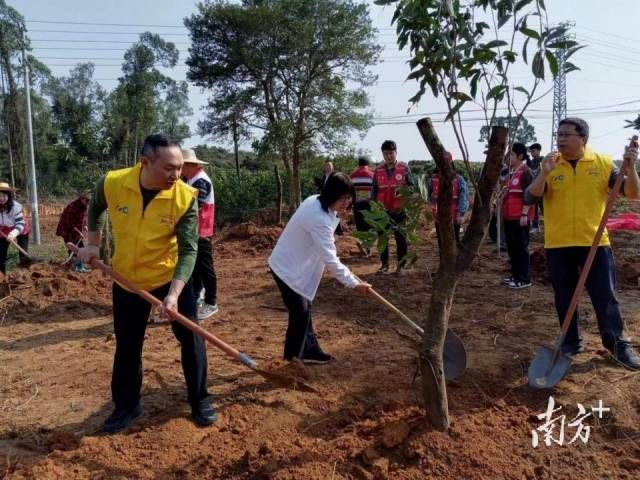 工作隊與村民在良垌村種植荔枝樹