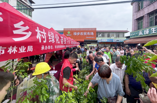 肇慶在高要區(qū)祿步鎮(zhèn)“鄉(xiāng)村綠化 苗技下鄉(xiāng)”系列活動。肇慶市融媒體中心記者 林琳 攝 苗技下鄉(xiāng)”系列活動。肇慶市融媒體中心記者 林琳 攝 苗技下鄉(xiāng)”系列活動。肇慶市融媒體中心記者 林琳 攝