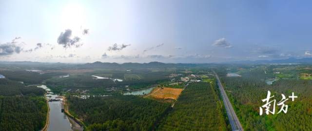 图为台山市红岭种子园，即国家重点林木良种基地。 南方+ 杨兴乐 拍摄