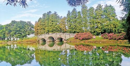 華南國家植物園園景。文香英/供圖