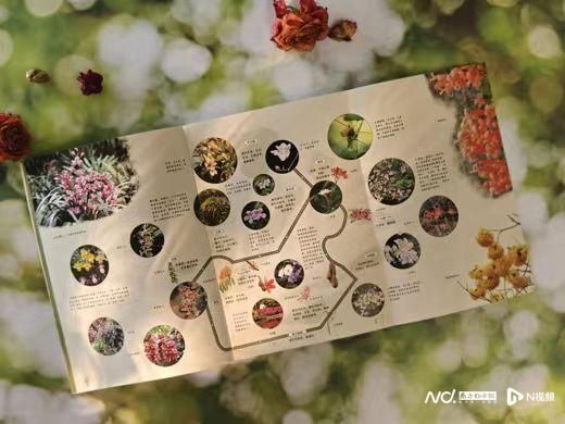 《华南国家植物园自然观察笔记》带你探索自然博物世界 - 关注森林