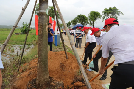 如春生態(tài)集團支持汕尾陸豐市大安鎮(zhèn)石澳公路綠化。