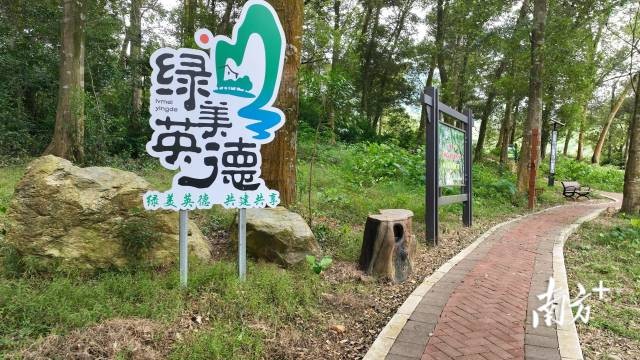 鐵溪村將力爭把大圍古樹公園打造成展現(xiàn)綠美英德生態(tài)建設(shè)的一張亮麗名片。