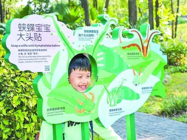 在僑城北公園迷蝶小徑舉辦的蝴蝶自然科普活動