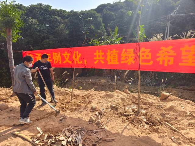 茂名高州市新垌鎮(zhèn)年初二“年例林”植樹(shù)活動(dòng)。林蔭供圖