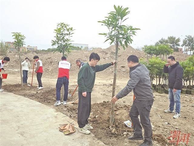 青年代表們同植“僑青林”。 潮州日?qǐng)?bào)全媒體記者 蔡婧怡 攝