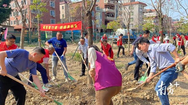 參與人員正在種下樹(shù)苗。