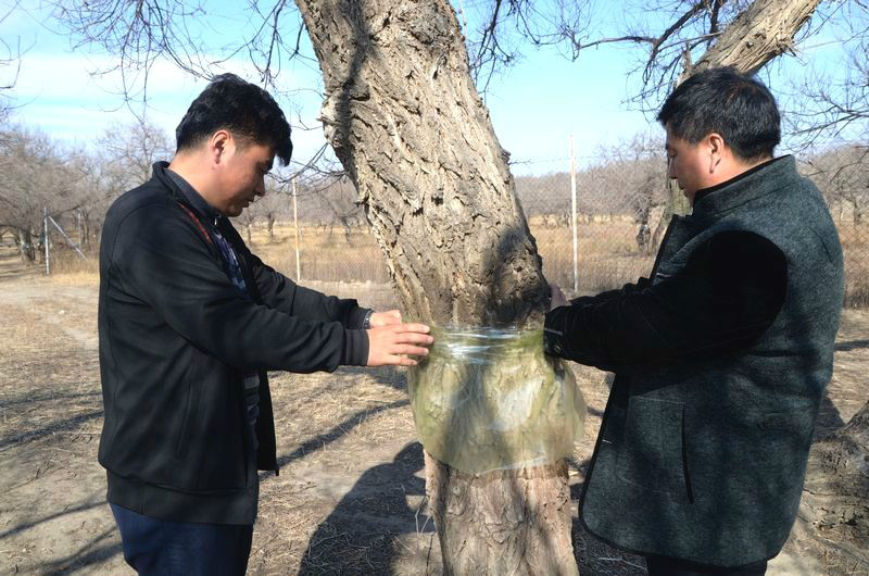 栏目 吉林向海国家级自然保护区 湿地中国