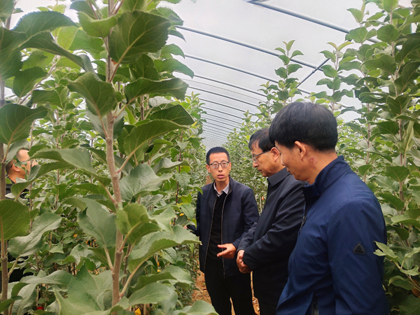 平凉市林草局对静宁县林木良种苗木培育项目进行验收2