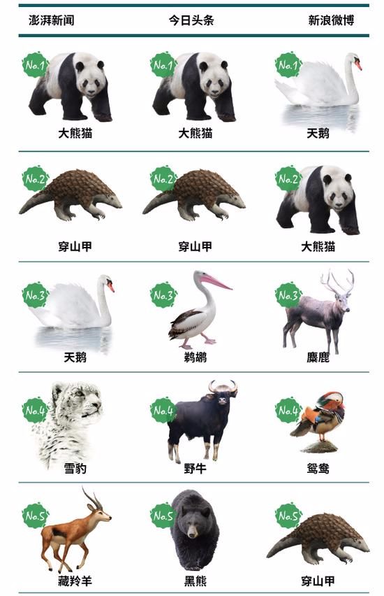 2017国家重点保护动物关注度排名:大熊猫天鹅上榜