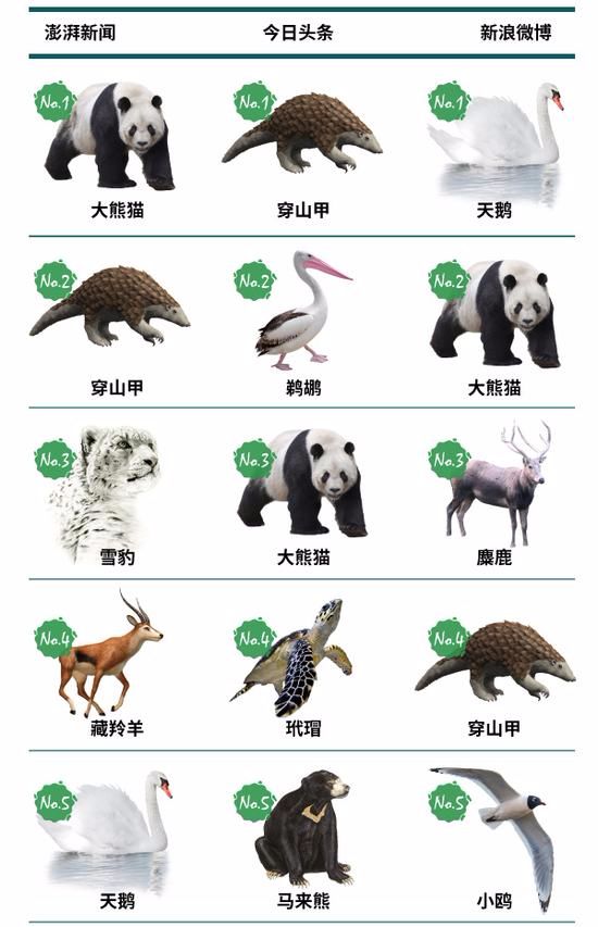 2017国家重点保护动物关注度排名:大熊猫天鹅上榜