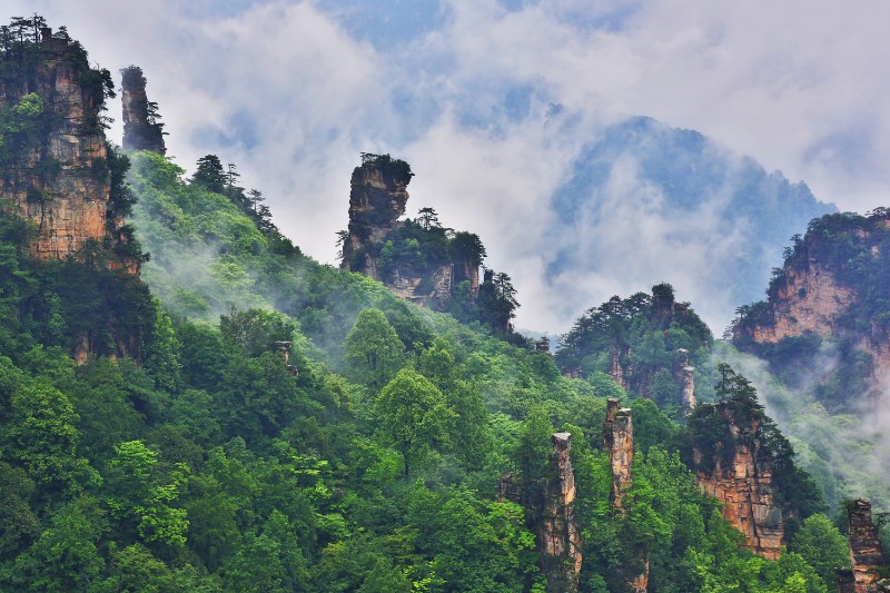 （6）高山峡谷，茂密的森林，使张家界国家森林公园形成了独特的森林小气候——冬暖夏凉，