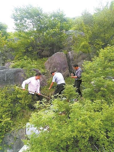 薛光(左一)与工人们在石山上补植树苗 魏玉国摄