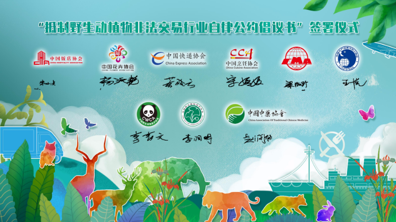 中国野生动物保护协会供图