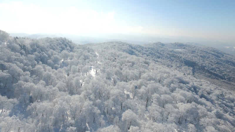东北虎豹国家公园雪景