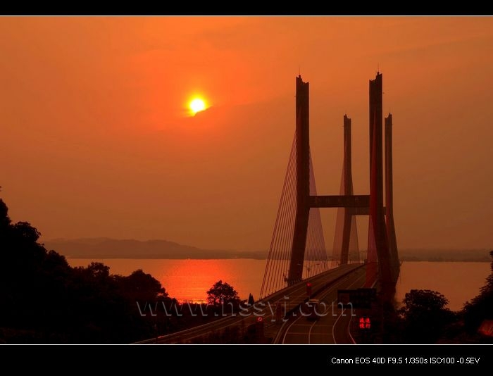 20100809_c7cad7c2e48