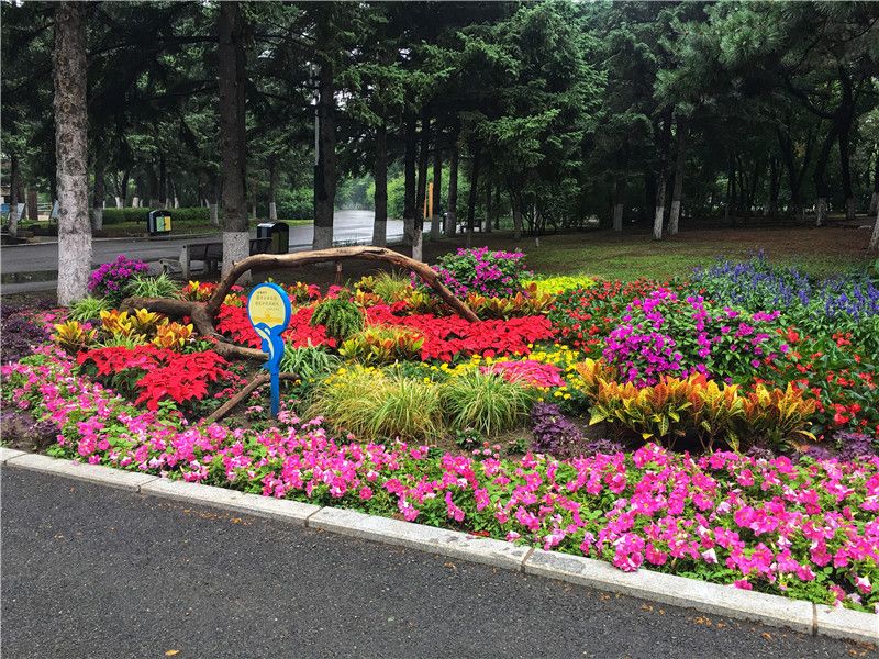 动植物公园采用特色花卉枯木景石陶罐等精心装点花坛花境景观