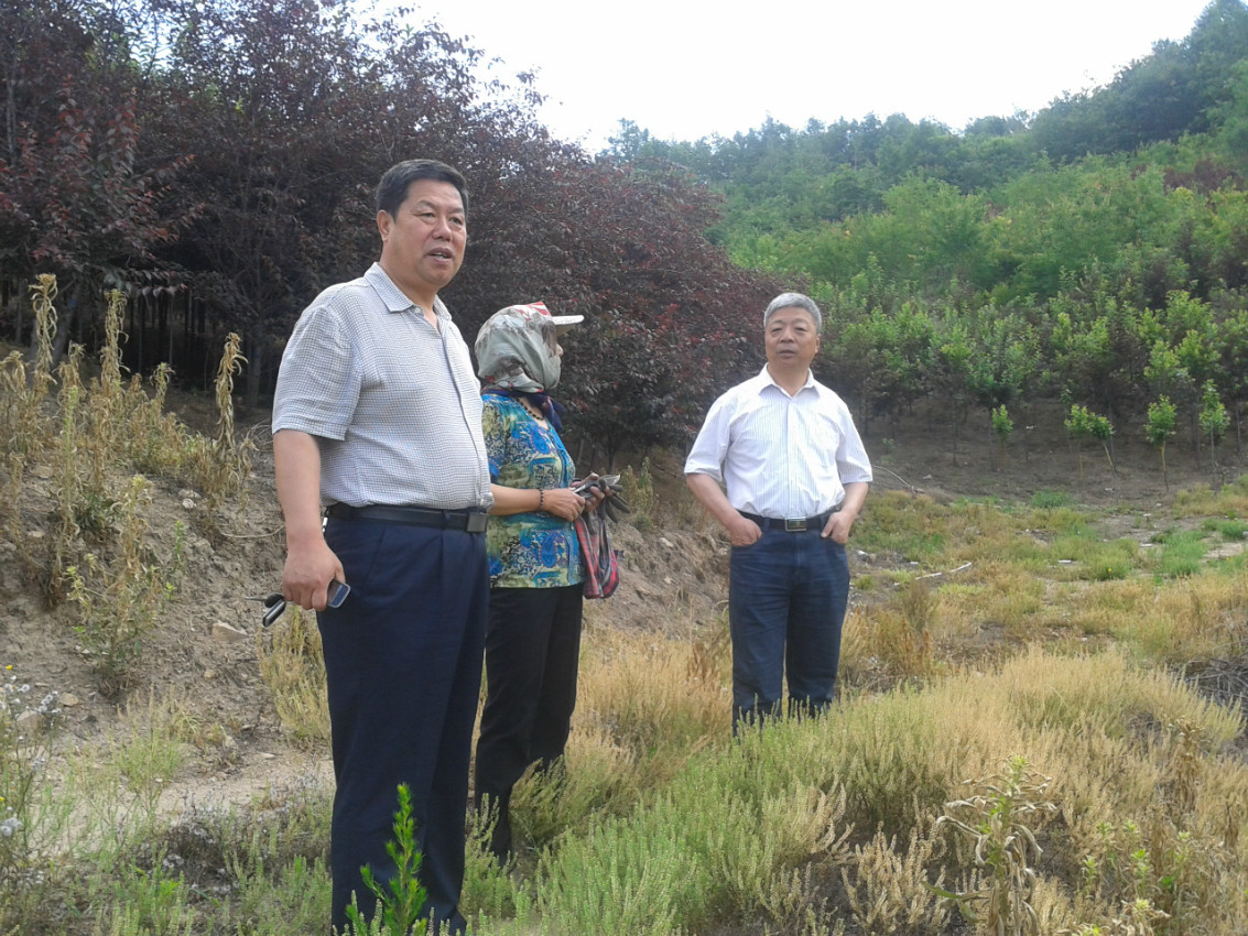 肖振海站长率领调研组到永吉县国家落叶松重点林木良种基地开展调研