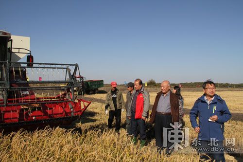 黑龙江垦区建三江管理局七星农场.资料图