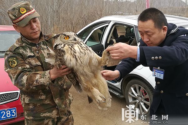 东北网4月9日讯(高海生 岳文 记者 霍枭涵)4月4日,黑龙江绥阳林区在施