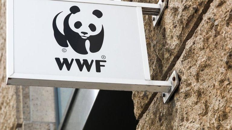 后疫情時代，中國體育企業如何破解可持續發展之道？安踏這樣做
