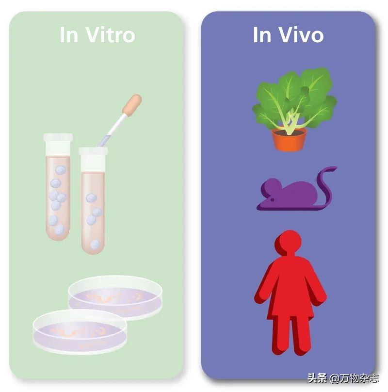 14歲中學生找到有望治療新冠的藥物，獲得北美科研競賽大獎