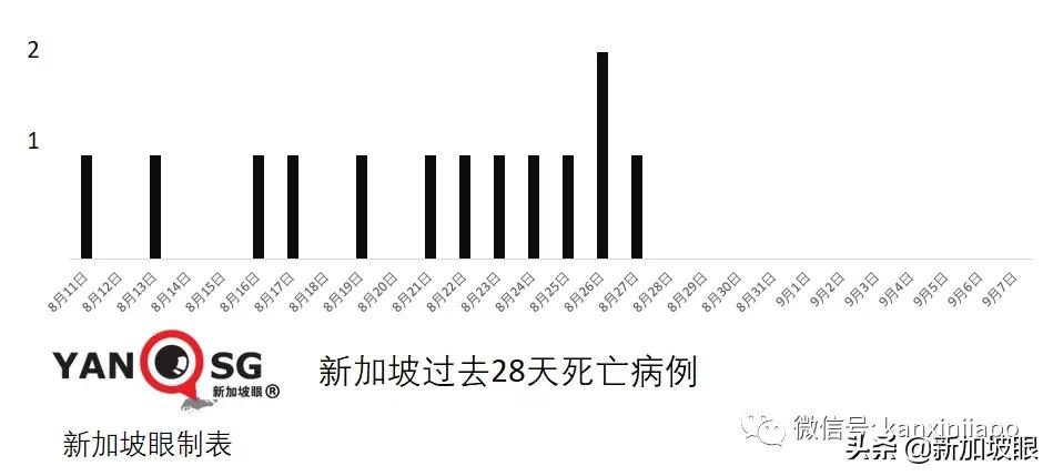 新加坡再现学校感染群；德国旅行走廊计划今起实施，首批旅客入境