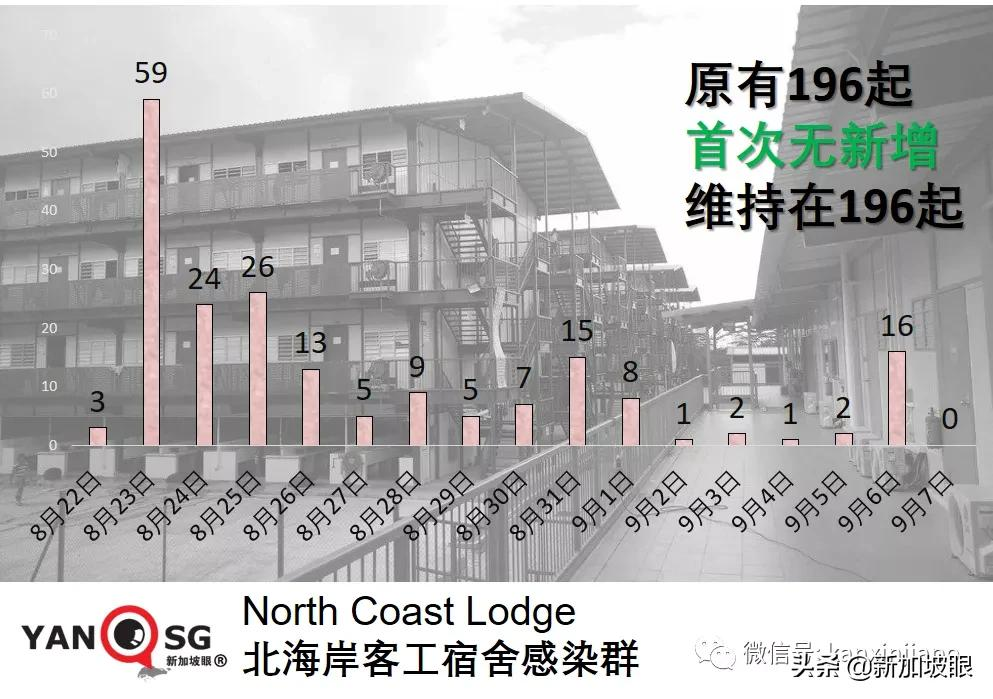 新加坡再现学校感染群；德国旅行走廊计划今起实施，首批旅客入境