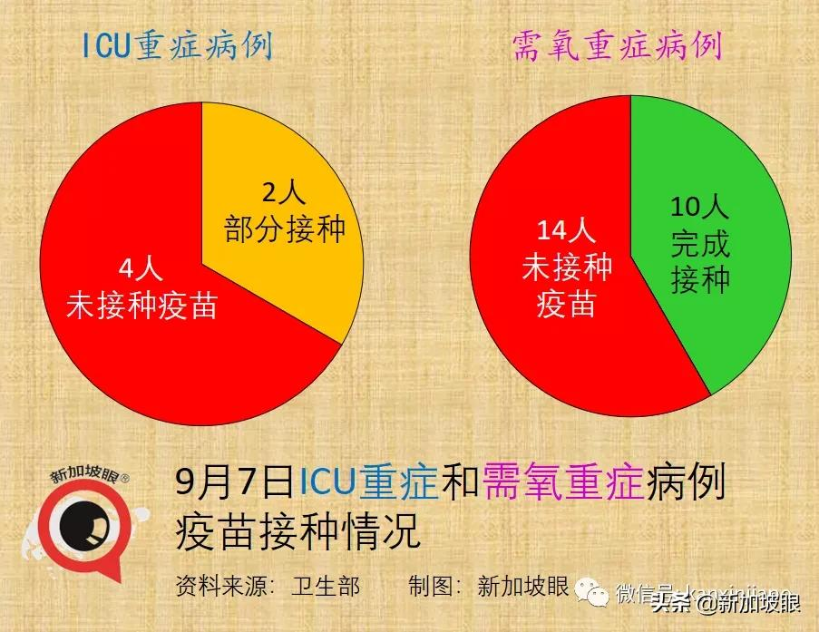 新加坡再现学校感染群；德国旅行走廊计划今起实施，首批旅客入境