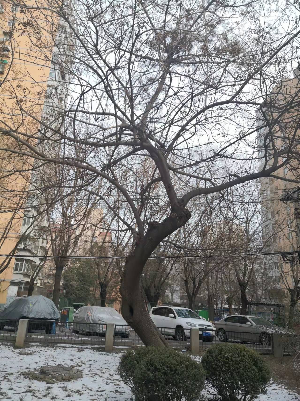 微信圖片_20220313142007