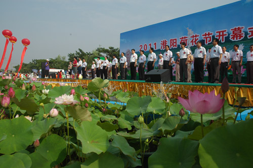 2011年淮阳荷花节1