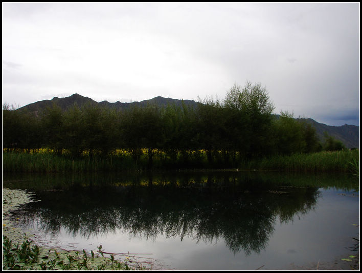 DSC00130