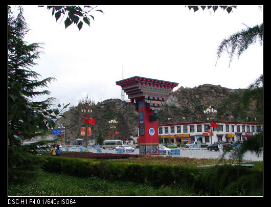 DSC00226