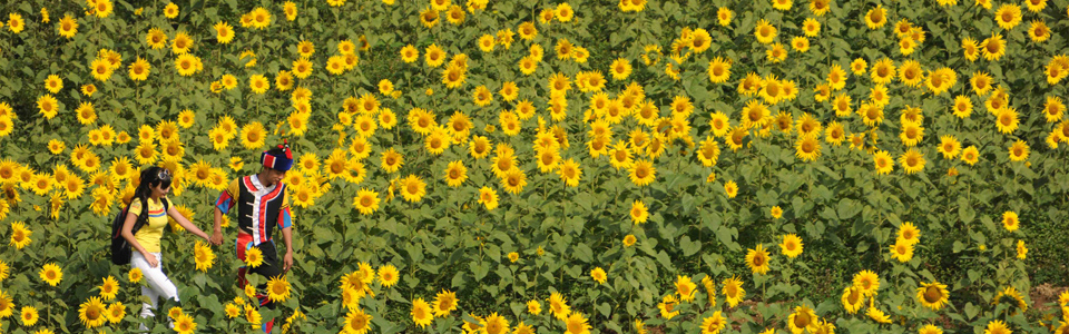 960x300-9
