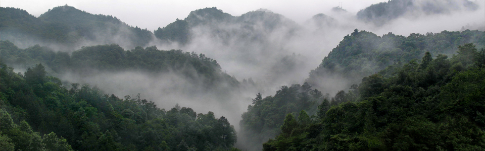 重庆黑山国家森林公园