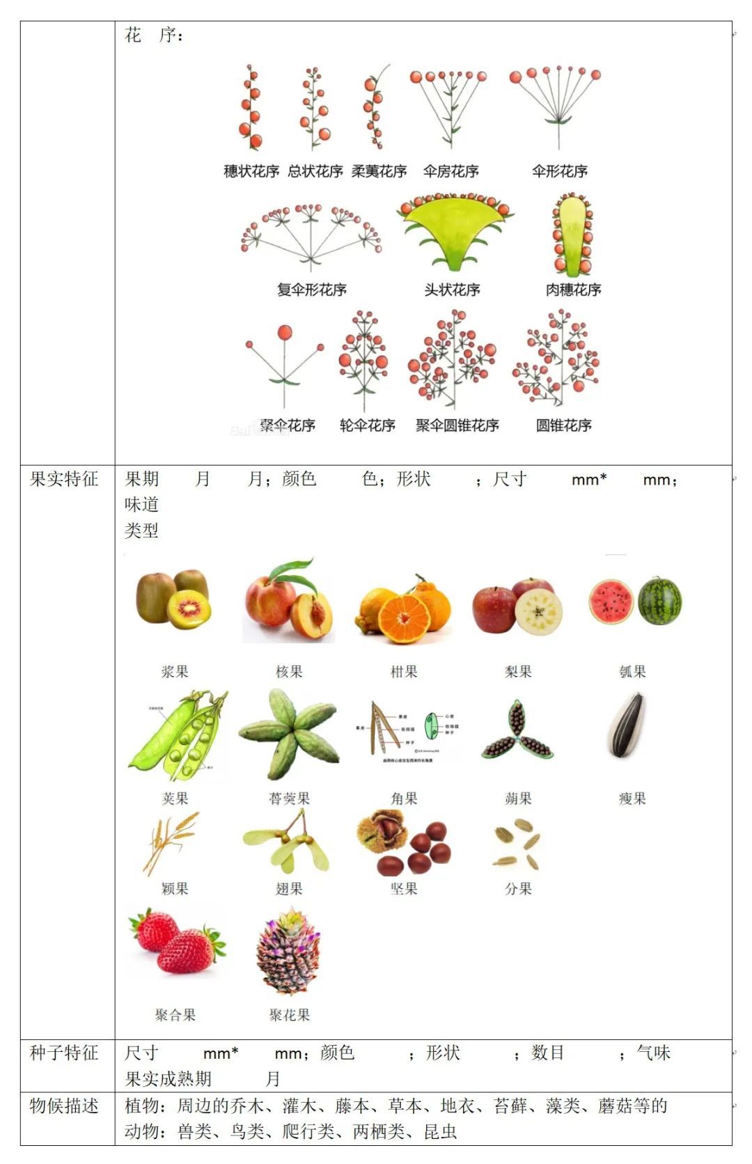 游览国家植物园——5.您的植物观察记录 - 关注森林