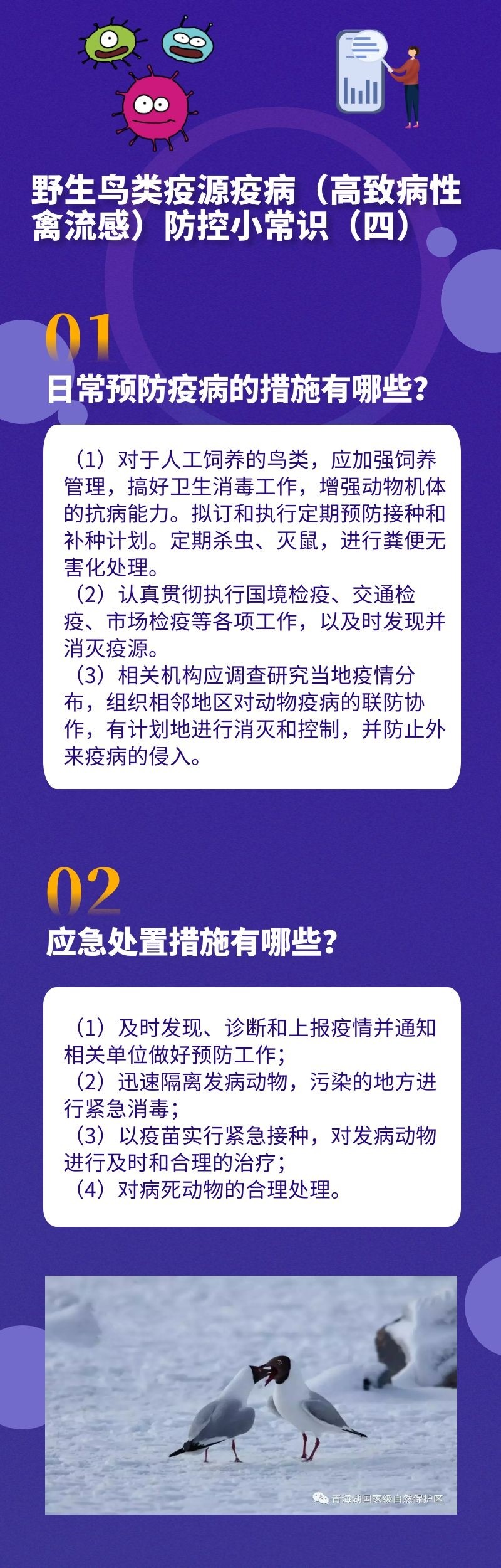 （4）图