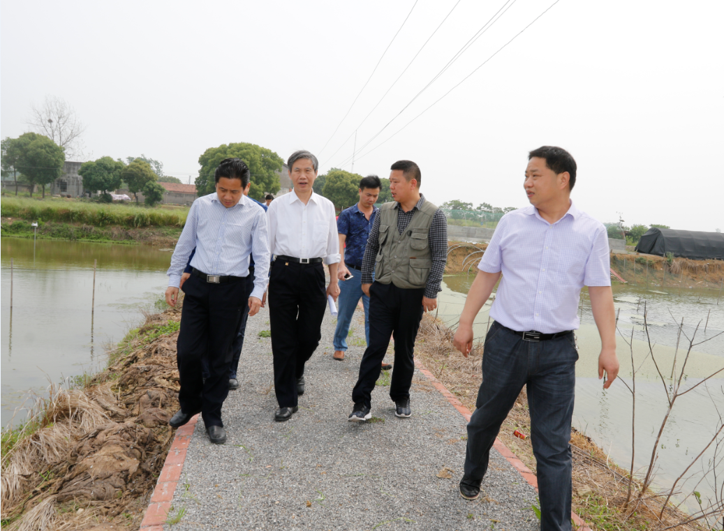 保安湖接受湖北省水利厅实行最严格水资源管理制度考核组现场检查