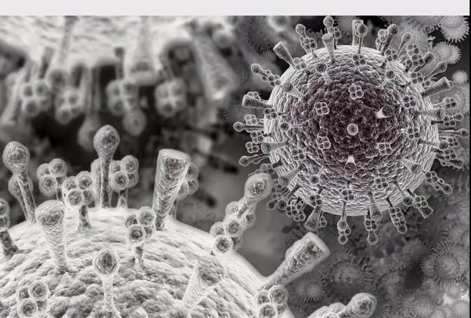 1988年日本人利用电子显微镜拍摄到噬菌体