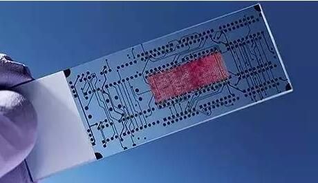 微流控芯片技术详解_微流控技术在生物医学上的应用