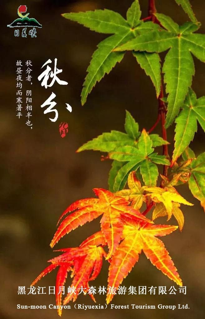 微信图片_20200922190416