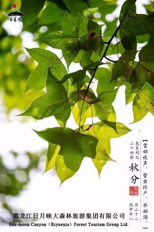 微信图片_20200922190333
