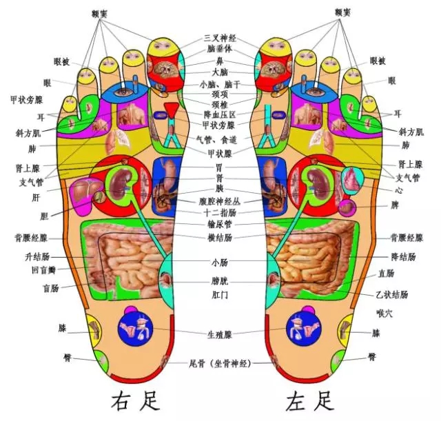 微信图片_20240531160854