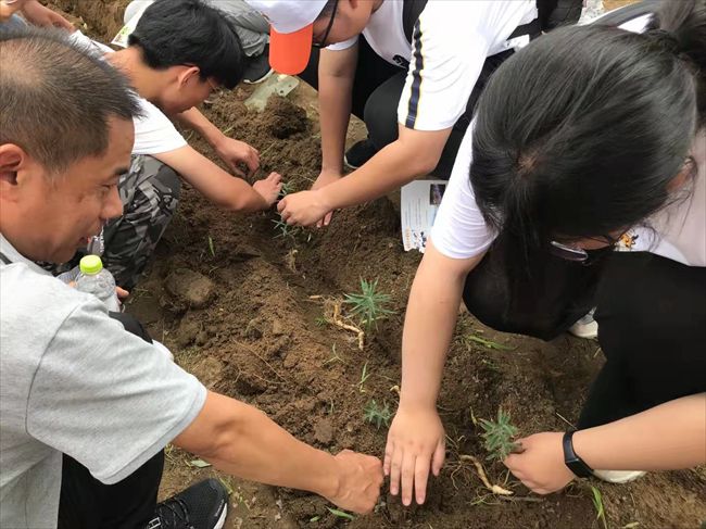 研学课程。泰安市文旅局供图