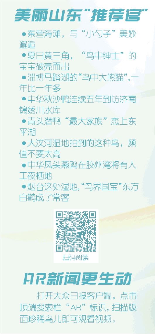 《大众日报》：这些“稀客”向你推荐美丽山东 第4-5版 20230605 - 关注森林