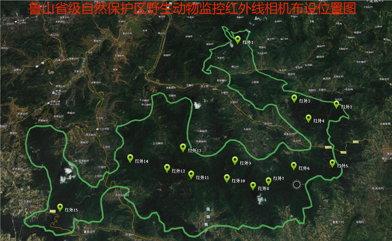 豹貓 拍攝于淄博市魯山省級(jí)自然保護(hù)區(qū)2