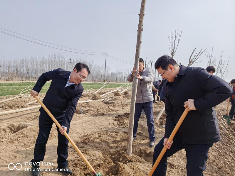 “植”新綠，“樹”未來禹城市開展2024年全民義務(wù)植樹活動(dòng)1